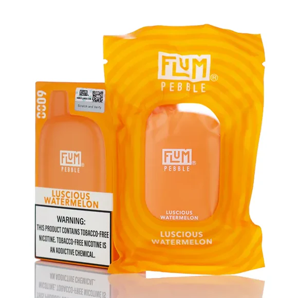 Flum Pebble Disposable Vape (5%, 6000 Puffs)
